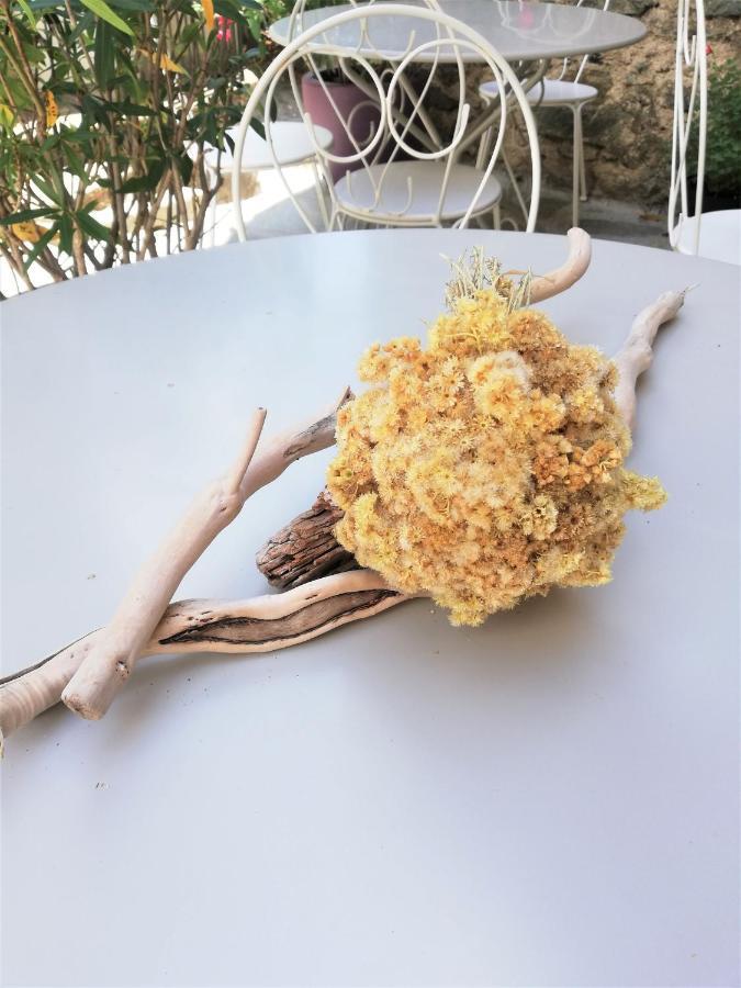 Parfumu Di Celu Hotel Santa-Lucia-di-Mercurio Buitenkant foto